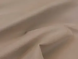 Kolibri (camel)